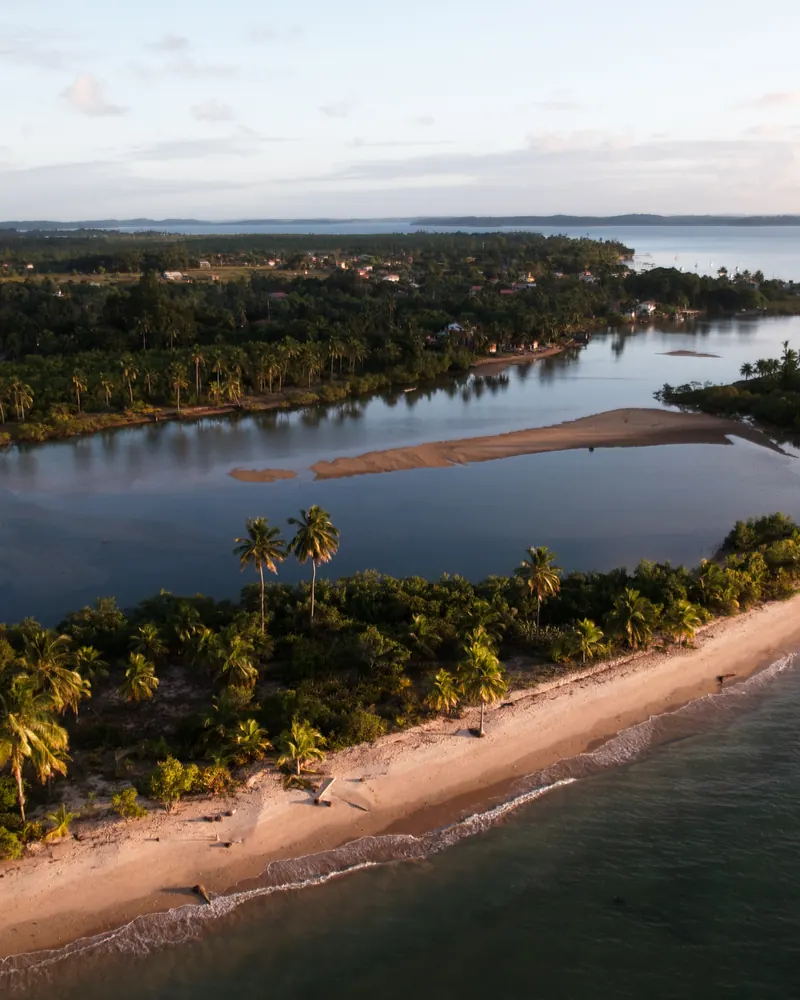 Sandbar with palm trees between the lagoon and the sea, at sunset