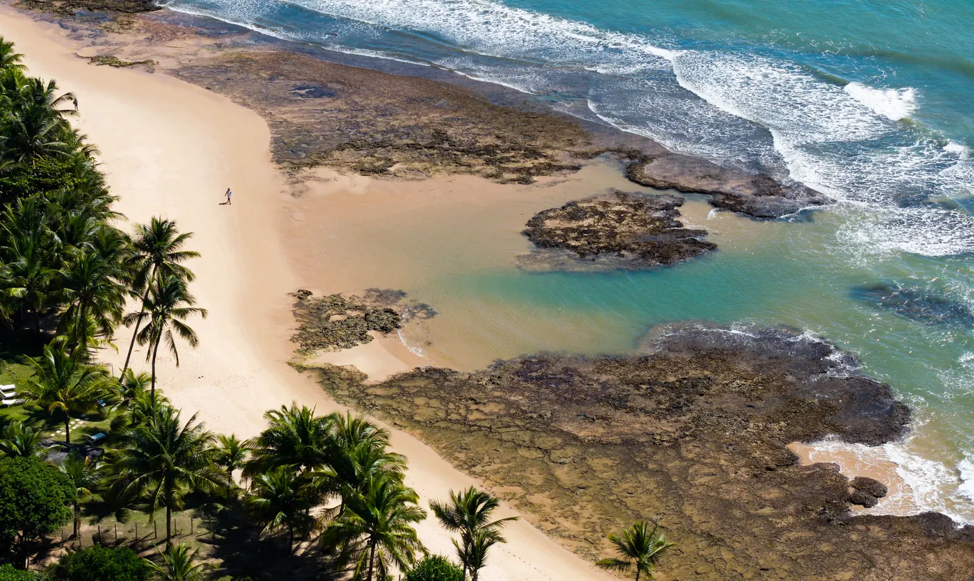 Reefs and a palm-fringed beach, seen from above